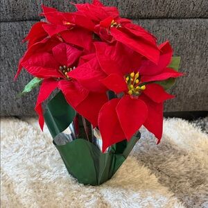 Holiday Poinsettia